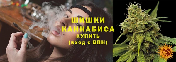 PSILOCYBIN Балабаново